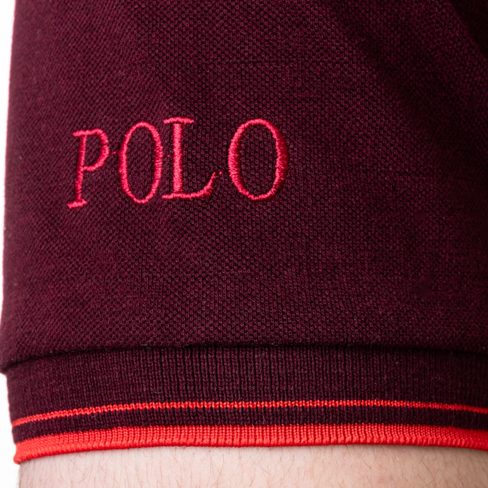 تصویر  تیشرت مردانه برند پولو اسپرت | POLO SPORT
