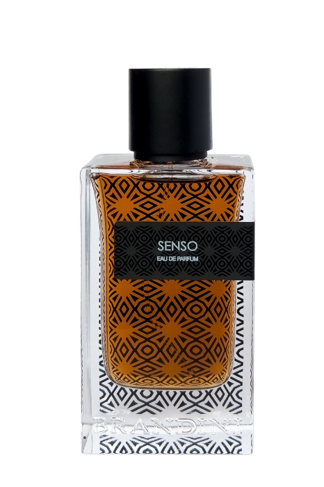 تصویر  Brandini-Senso ادکلن سنسو مردانه برندینی | brandini حجم 90 میل